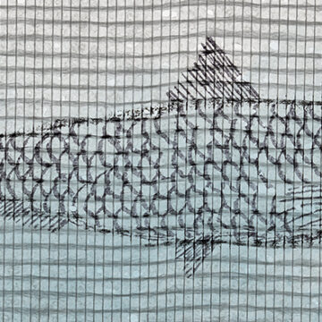sardine imprimée sur toile
